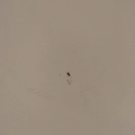 Dráva Hotel Thermal Resort Harkány - Egyéb