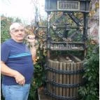 Magita Hotel Erdőbénye - Egyéb