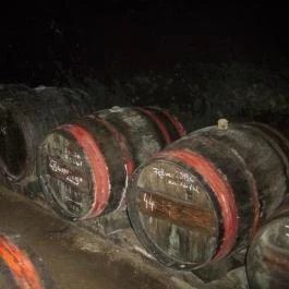 Illés Pince, Erdőbénye - Egyéb