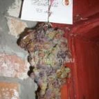 Illés Pince Erdőbénye - Egyéb