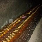 Illés Pince Erdőbénye - Egyéb