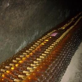 Illés Pince, Erdőbénye - Egyéb