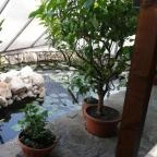 Kurta Étterem Kiskőrös - Külső kép