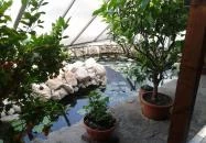 Kurta Étterem Kiskőrös