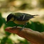 Sallai Vendégház Miskolctapolca - Környék