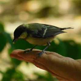 Sallai Vendégház, Miskolctapolca - Környék