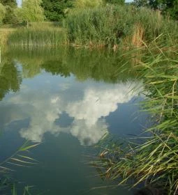 Apartmanpark és Kemping 