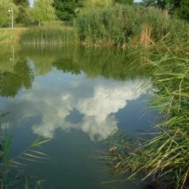Apartmanpark és Kemping , Cegléd - Környék
