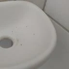 Gyopárosfürdő Gyógy-, Park- és Élményfürdő Orosháza - Egyéb