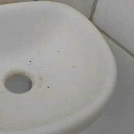 Gyopárosfürdő Gyógy-, Park- és Élményfürdő, Orosháza - Egyéb