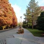 Park Hotel Gyula Gyula - Környék