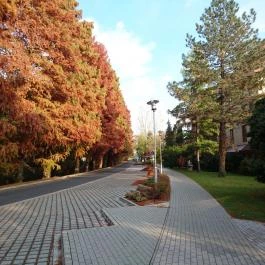 Park Hotel Gyula Gyula - Környék