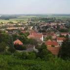 Jackfall Fogadó és Apartman Villány - Környék