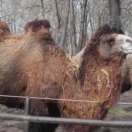 Hunguest Szeged (korábbi Forrás) Szeged - Egyéb