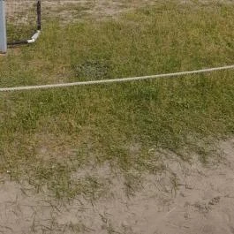 Richter Safari Park Nagykőrös - Egyéb