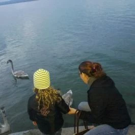 Erzsébet Szálloda Balatonőszöd Balatonőszöd - Környék