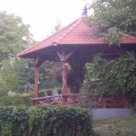 Fried Kastély Hotel Simontornya - Medence/kert