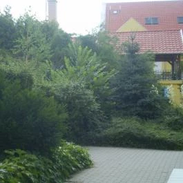 Fried Kastély Hotel Simontornya - Környék