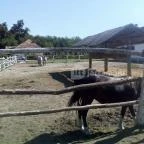 Zichy Park Hotel Bikács - Egyéb