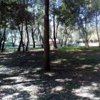 Zichy Park Hotel Bikács - Medence/kert