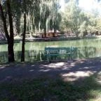 Zichy Park Hotel Bikács - Medence/kert