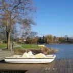 Liget Wellness & Konferencia Hotel Szarvas - Medence/kert