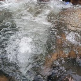 Somogy Kertje Üdülőfalu és Étterem Bonnya - Egyéb