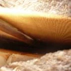 Kastély Villa Miskolc - Egyéb