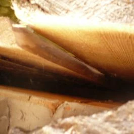 Kastély Villa, Miskolc - Egyéb