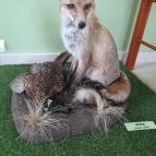 Hajósi Barokk Kastély Hajós - Egyéb