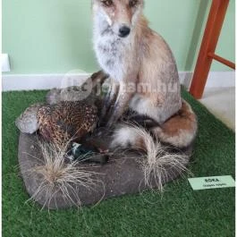 Hajósi Barokk Kastély, Hajós - Egyéb