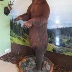 Hajósi Barokk Kastély Hajós - Egyéb