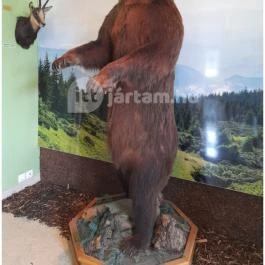 Hajósi Barokk Kastély, Hajós - Egyéb