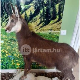 Hajósi Barokk Kastély, Hajós - Egyéb