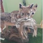 Hajósi Barokk Kastély Hajós - Egyéb