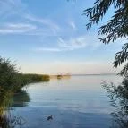 Hotel Panoráma Balatongyörök Balatongyörök - Környék