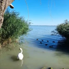 Hotel Panoráma Balatongyörök, Balatongyörök - Környék