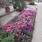 Hotel Panoráma Balatongyörök Balatongyörök - Környék