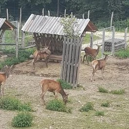 Sopron Hotel, Sopron - Környék