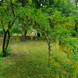 De La Motte kastély Noszvaj - Külső kép