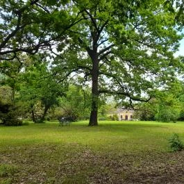 De La Motte kastély Noszvaj - Külső kép