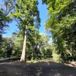 Szabadkígyósi Wenckheim-kastély Szabadkígyós - Külső kép