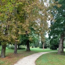 Széchenyi-kastély, Nagycenk - Külső kép