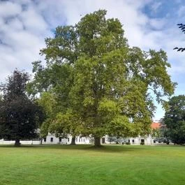 Széchenyi-kastély, Nagycenk - Külső kép