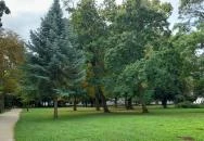 Széchenyi-kastély Nagycenk