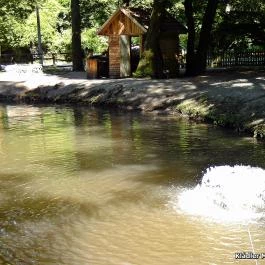 Honti Panzió, Visegrád - Környék