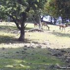 Honti Panzió Visegrád - Környék