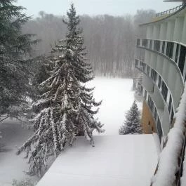 Hotel Fagus Sopron - Külső kép