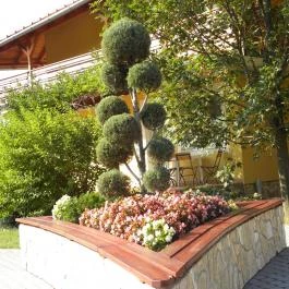 Wellness Hotel Katalin, Gyenesdiás - Medence/kert