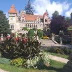 Bory-vár Székesfehérvár - Egyéb